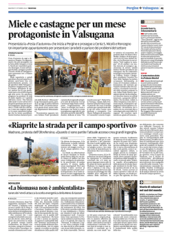 leggi tutto in PDF - Verdi del Trentino