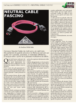 Neutral Cable - Fascino power cord Fedelt&agrave; del Suono n. 216