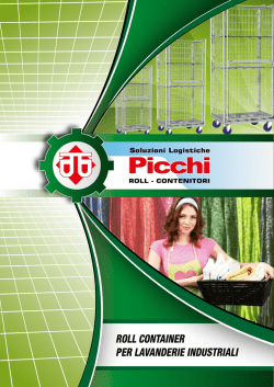 Untitled - Picchi snc