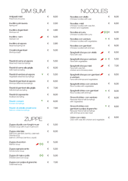 DIM SUM NOODLES ZUPPE