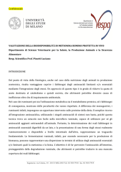 Valutazione della biodisponibilit&agrave; di Metionina rumino