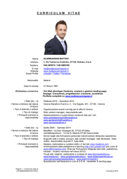 C U R R I C U L U M    V I T A E
