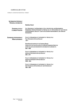Curriculum Vitae - Universit&agrave; degli Studi del Sannio