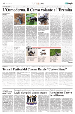 Eco Risveglio - 11 Settembre 2014