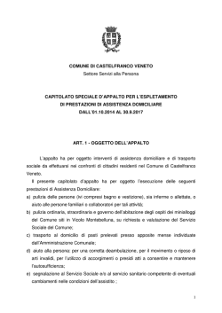 COMUNE DI CASTELFRANCO VENETO Settore Servizi alla