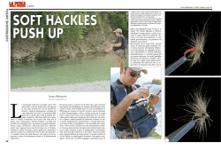Ivano Mongatti, Soft hackles push up