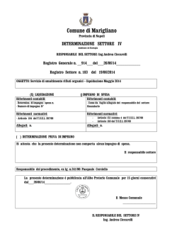 determinazione settore iv