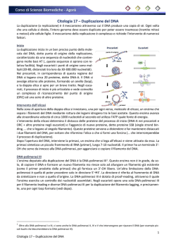 Citologia 17 - Duplicazione del DNA