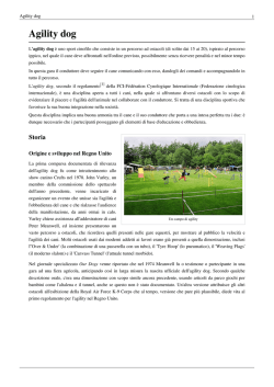 Agility dog STORIA E REGOLE
