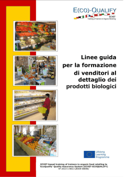 Linee guida per istituzioni di formazione professionale