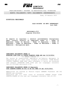 notiziario n. 7