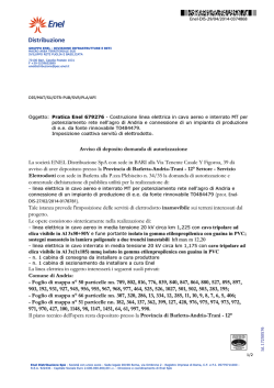 ENEL Distribuzione S.p.A.