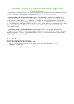 Sentenza Cons Stato principio precauzione 2013