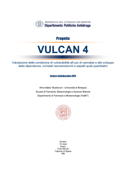 Progetto Vulcan4 - Governo Italiano