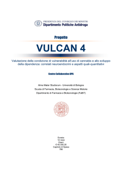 Progetto Vulcan4 - Governo Italiano