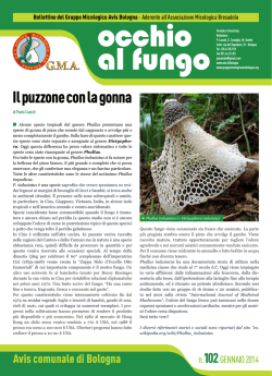 Occhio al fungo_n. 102_gennaio 2014(.Pdf 930 KB)