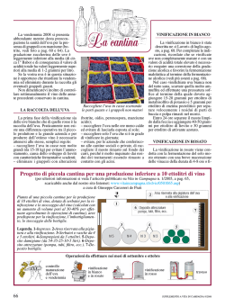 Progetto di piccola cantina per una produzione inferiore a 10 ettolitri