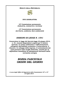 fascicolo odg al ddl n. 1541
