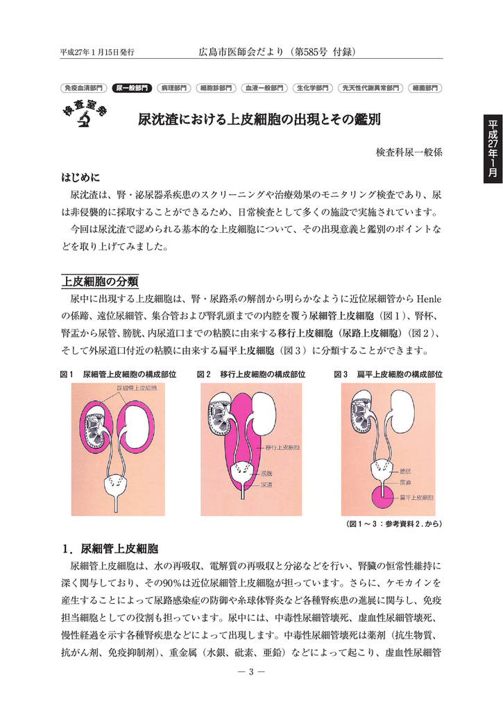 Cn101842105b 来自尿的祖细胞及其使用方法 Google Patents