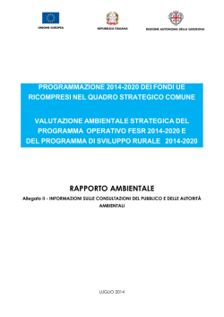 Allegato II - consultazioni