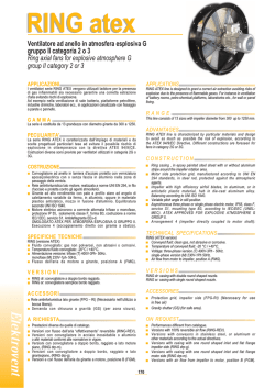 Scarica documento RING_ATEX_2013