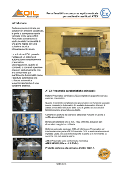 Scheda Tecnica Porte ATEX