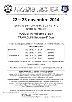 Seminario Saini nov 2014