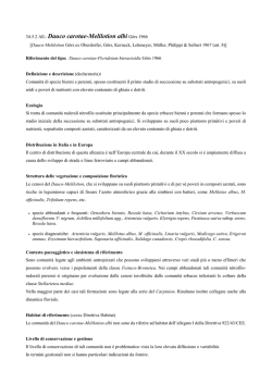 34.5.2 Dauco carotae-Melilotion albi