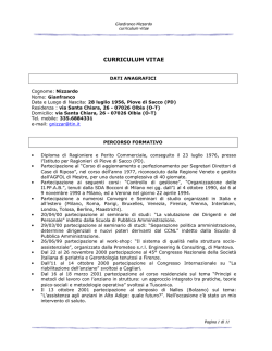 Curriculum Vitae Nizzardo