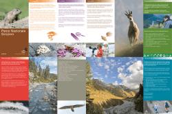 Parco Nazionale Svizzero