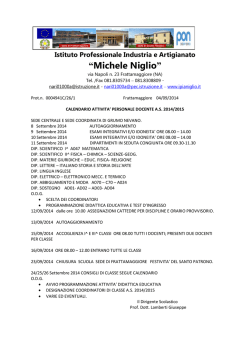 Istituto Professionale Industria e Artigianato &ldquo;Michele Niglio&rdquo;