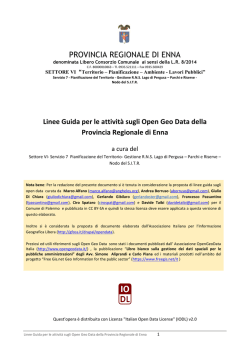Linee Guida per le attivit&agrave; sugli Open Geo Data della Provincia di