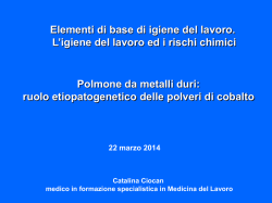 7 - Esercitazioni a piccoli gruppi - b) Polmone da metalli duri