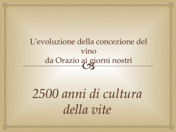 Levoluzione della concezione del vino di Noemi Tomasi
