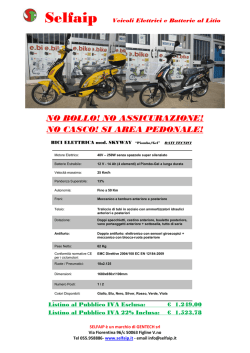 2950-Listino Bici Elettrica SKYWAY Pb-Gel