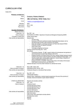 curriculum vitae - Innovation Studies group