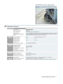 Estratto PROTOMONT interferenze EMC