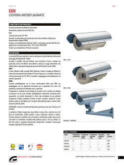 CUSTODIA ANTIDEFLAGRANTE