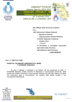 COGP 08-1 DIV F - FIPAV Salerno