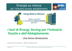 Enea I_tool_di_Energy_Saving_Branchetti