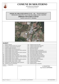 elenco prezzi - Comune di Moliterno