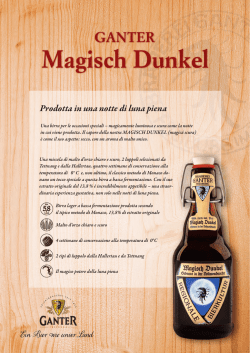 Magisch Dunkel - Birra Ganter
