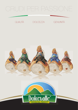 catalogo in pdf