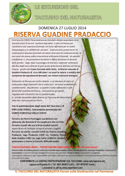 DOMENICA 27 LUGLIO 2014