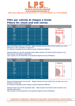 Filtri per valvole di ritegno e fondo Filters for check and end valves.