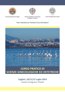 Programma Ginecologia 2014 def web (524,2 KB)