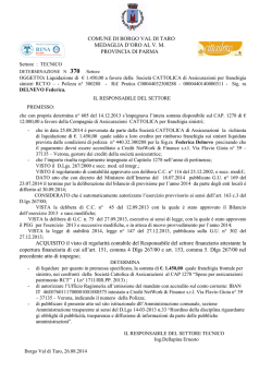 370 Liquidazione per franchigia sinistri DELNEVO FED