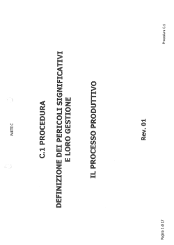 C1 - procedura pericoli significativi