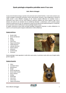 Quale patologia ortopedica potrebbe avere il tuo cane