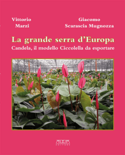 modello Ciccolella - Gc Partecipazioni